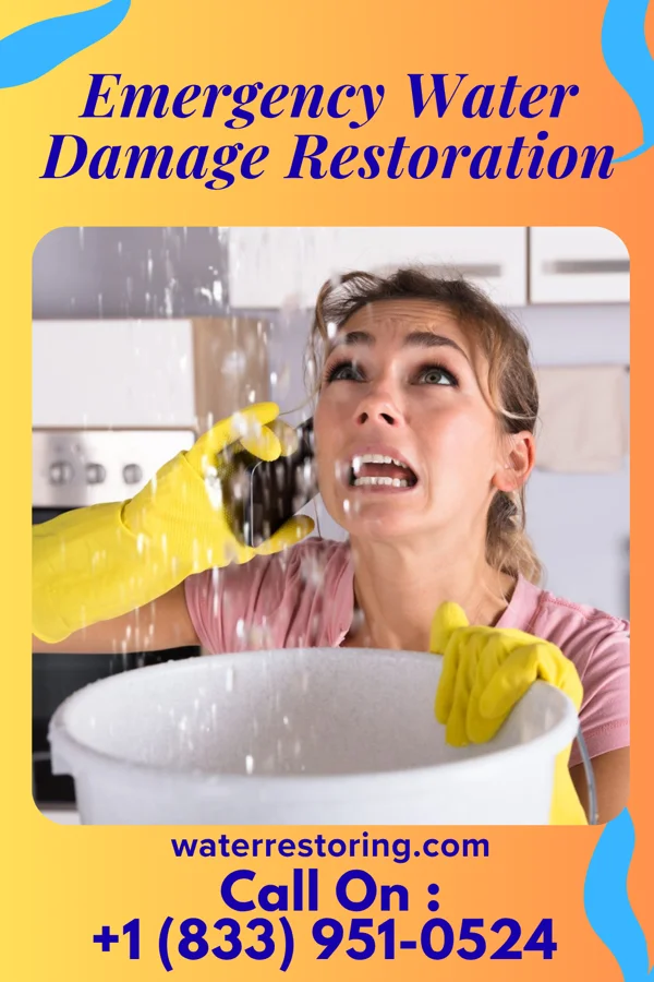 Emergency Water Damage Restoration in Mount Pleasant, TX